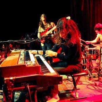 mr elevator brain hotel photos