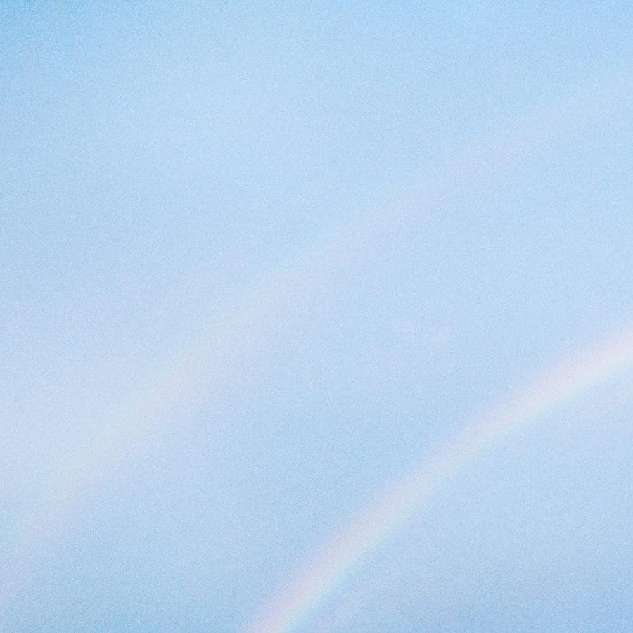 Turnstile NEVER ENOUGH album artwork